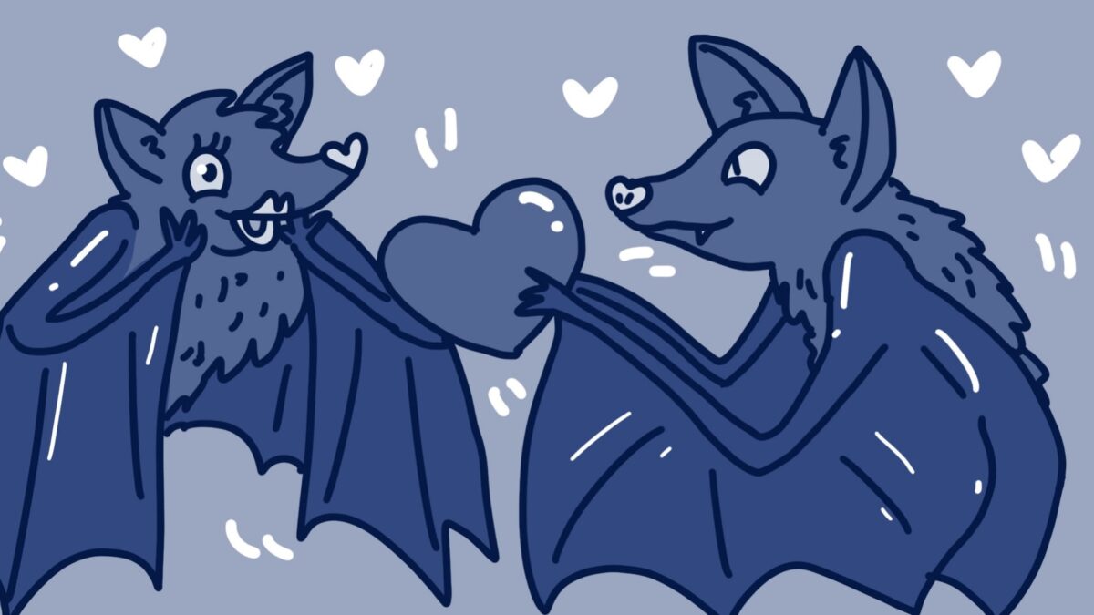 Forse non sapete che – Le dimensioni in fin dei conti non contano