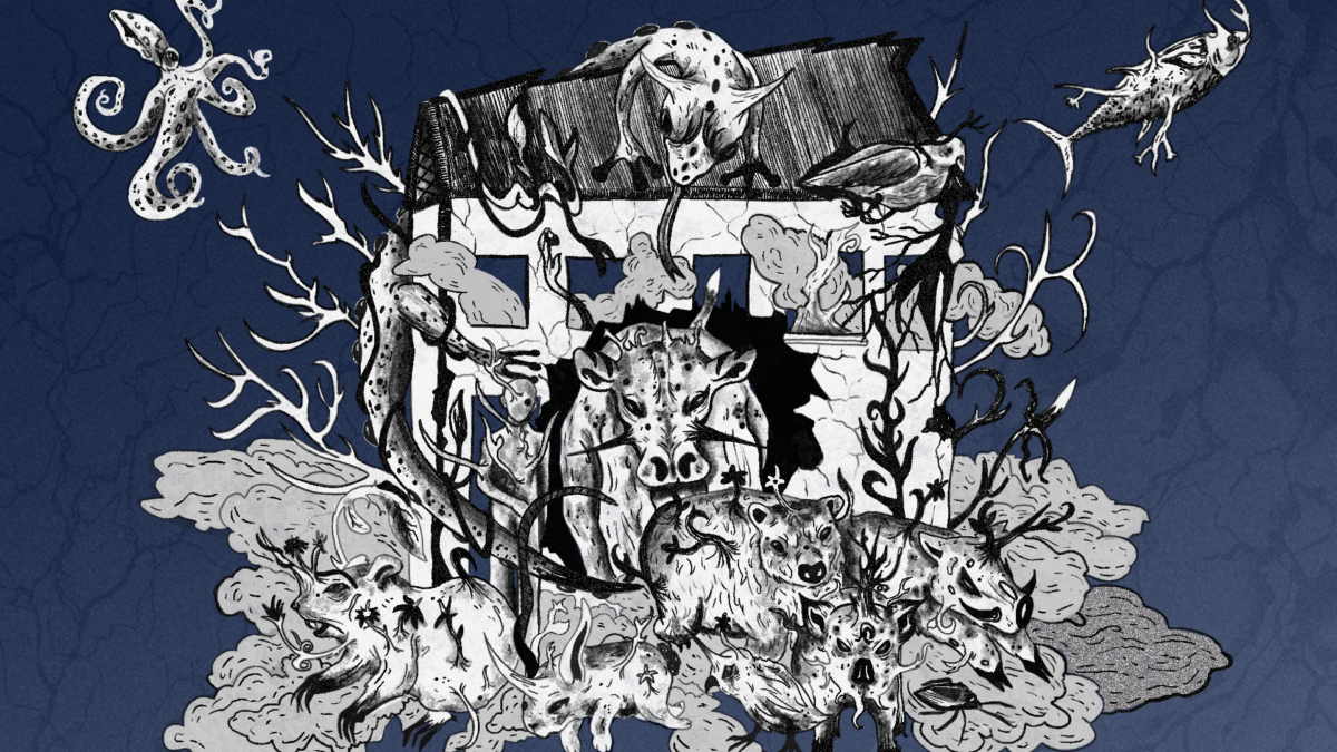 Intervista all’artista – Iraquieta